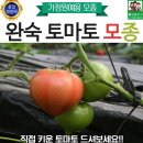 모종비
