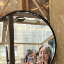 제주도조아 이미지