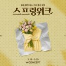 스프링컨셉트