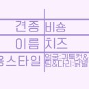 강남애니펫샵 이미지