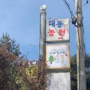 시흥 카페 추천, 푸릇푸릇한 산장 느낌 카페 달쿠쿠 다녀왔어요!