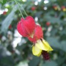 연암축산 이미지