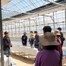 형석농장 이미지