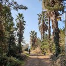 예래작은숲 이미지