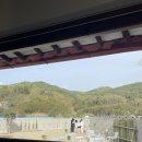 어흥스테이 이미지