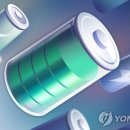 디에스(DS)무역 네이버블로그