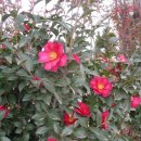 귀족호도박물관 이미지