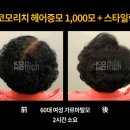 헤어올림픽 이미지
