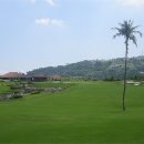 Greenfield 이미지