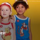 베베드피노 이미지