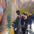 그린어린이집 이미지