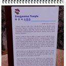 다솜사 이미지