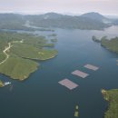 물고기태양광발전소 이미지