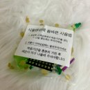 늘품로 | [원주식물] 원주화분 감성 플랜테리어 잎풀 방문 후기