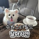 수원-0578 네이버블로그