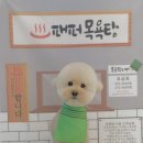 패밀리앤퍼피 이미지