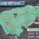 봉황산나래숲 이미지