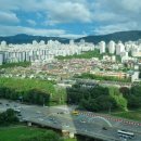 &#34;정자동 파크뷰 대장아파트 경매 신건 | 최상층 대형평형 탄천뷰 아파트, 2023타경141, 감정가 31억 7천 &#34;