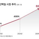 디마기획