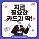 현대카드 M카드 vs 네이버카드, 당신에게 꼭 맞는 카드 선택법
