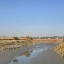 갯골생태공원 이미지