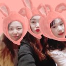 카페점보코코 이미지