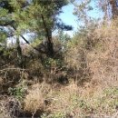 상예동-10 이미지