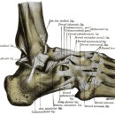 대세당한의원 이미지