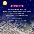 원림초등학교 | 2025 금당야행, 9월 19일(금) ~ 20일(토), 오후 4시~9시, 전통혼례, 추억의 사진전, 조선시대 십승지...
