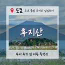 [도쿄자유여행]“도쿄 근교 후지산 데이투어 완벽정리” 솔직한 내돈내산 비추후기