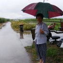 상암1리 이미지