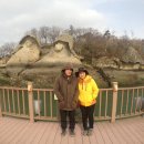 진도대교 민박 이미지