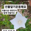 국회의원이 몇이면 될까 이미지