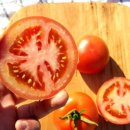 철랑농장 이미지