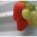 용범농장 이미지