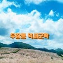 암곡 왕산 | 경주 무장봉 억새 군락지 암곡리 동대봉산 #무장사지 #무장산 가을이 성큼