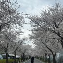 외산면 무량사 주차장 화장실 | 충남 부여 여행 무량사 템플스테이 체험형 1박2일 후기