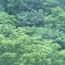 디저트39 남원춘향점 이미지