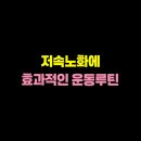 노화방지를 위한 근력운동,스트레칭 이미지