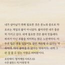 [헝거게임] 보다 보면 캣니스가 피타 민들레 타령하는 것도 이해되는 게 이미지