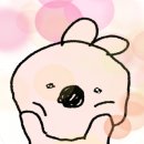 메종드엘라 이미지