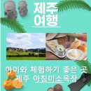 좋은빛목장 이미지