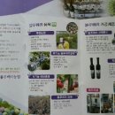 포항블루베리농원 이미지