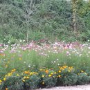 해바라기지역아동센터(3) 이미지