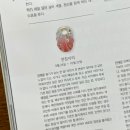 네일홀릭(NAILHOLIC) 네이버블로그