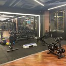 자마이카 PT 스튜디오 이미지