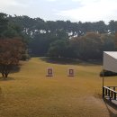 곡교천 은행나무길 이미지