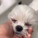 희동이의 하루 이미지