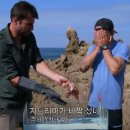 라이언피시 이미지
