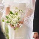 데이웨딩플랜